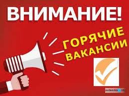 Требуется координатор по qa/qc и главный бухгалтер
