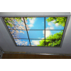 Акриловые и стеклянные потолки станут отличным украшением самых разных интерьеров