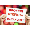 Менчердайзер з\п 1500