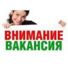 Требуется дизайнер