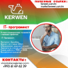 Срочно требуются it программист