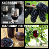 Домашние наливки