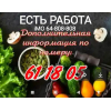 РАБОТА ЕСТЬ !