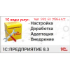 Автоматизация Внедрение 1с