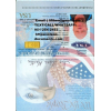 Passports drivers licenses id cards birth certificates diplomas