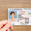 Id/passport/license/diploma/certificates/ielts/toefl