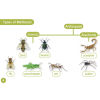 Группа readers 3 английский amazing mini beasts